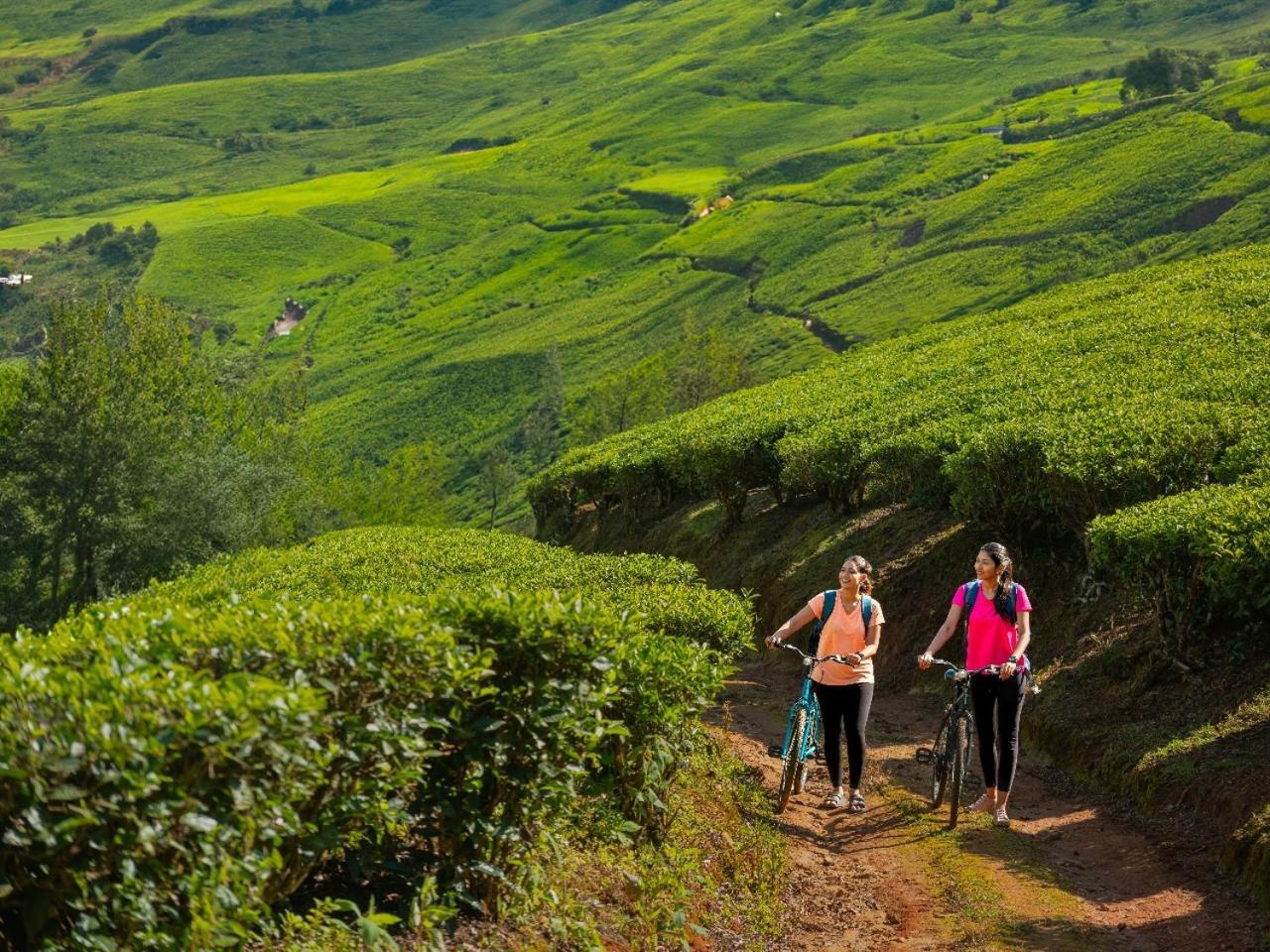 Le Montfort Resort Munnar Kültér fotó